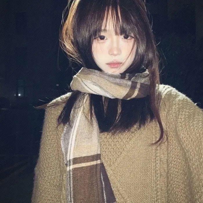 托梅斯的导盲犬